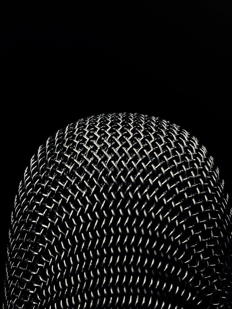 Voice-over training session